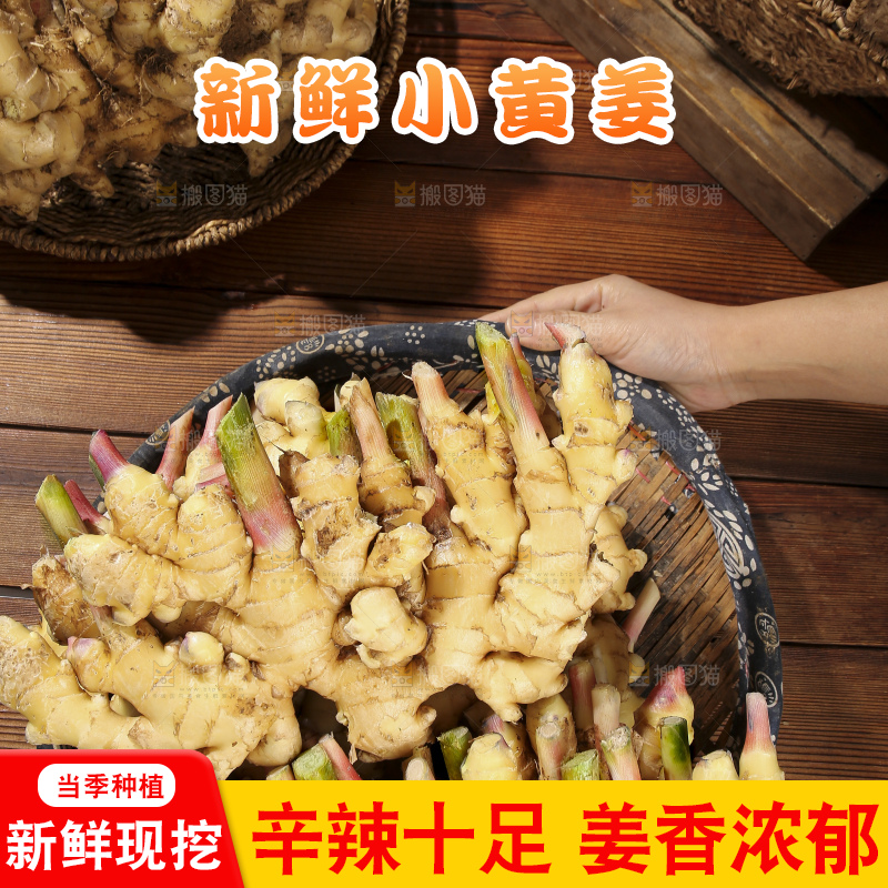木底上的新鲜小黄姜
