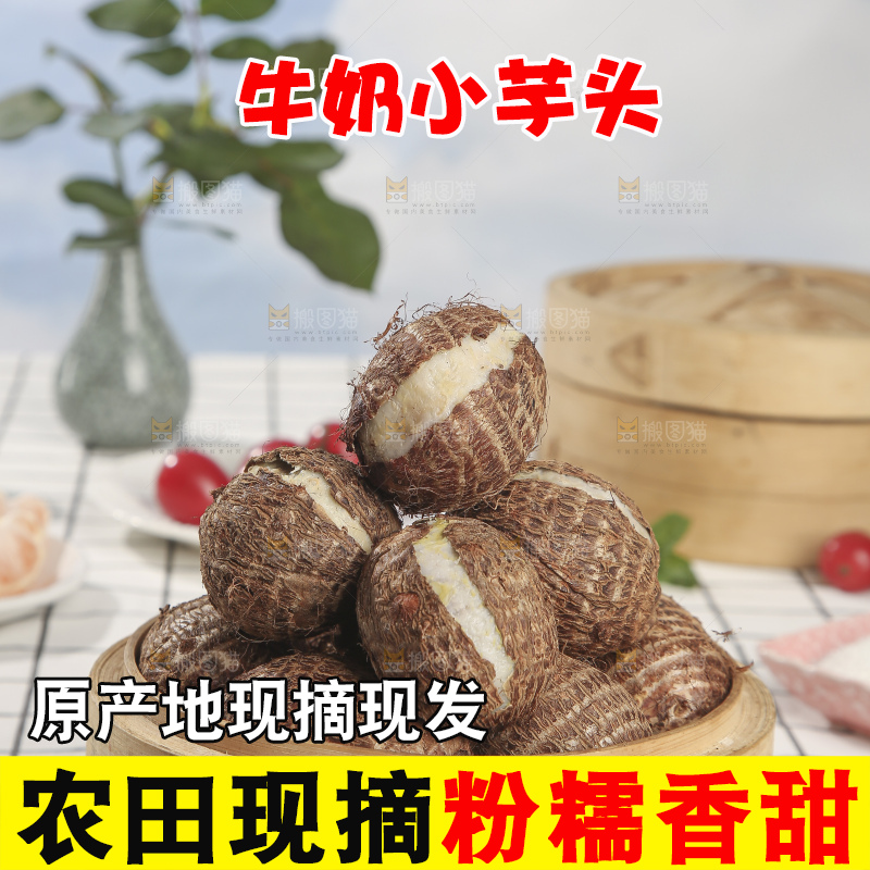 浅底上的新鲜小芋头