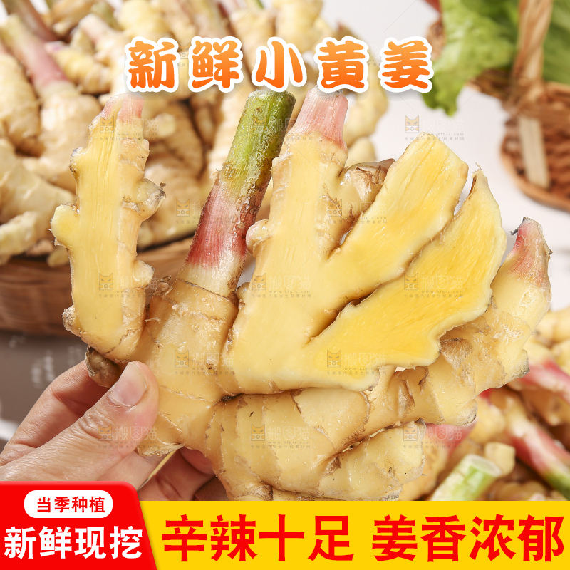 浅底上的小黄姜
