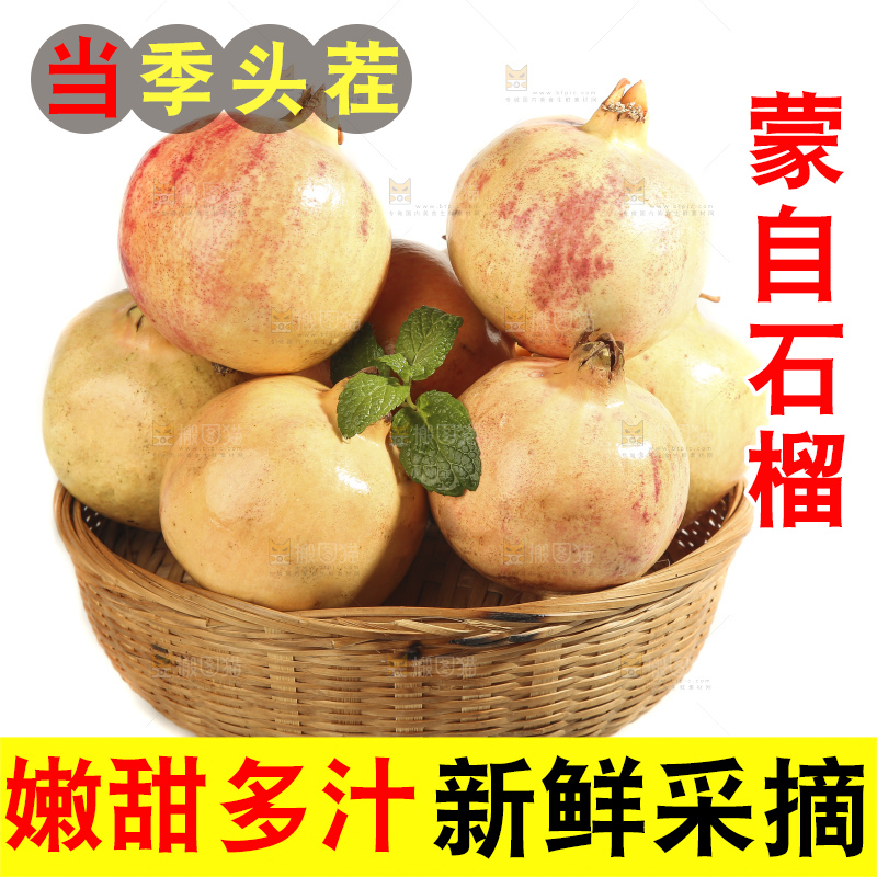 白底上的蒙自石榴