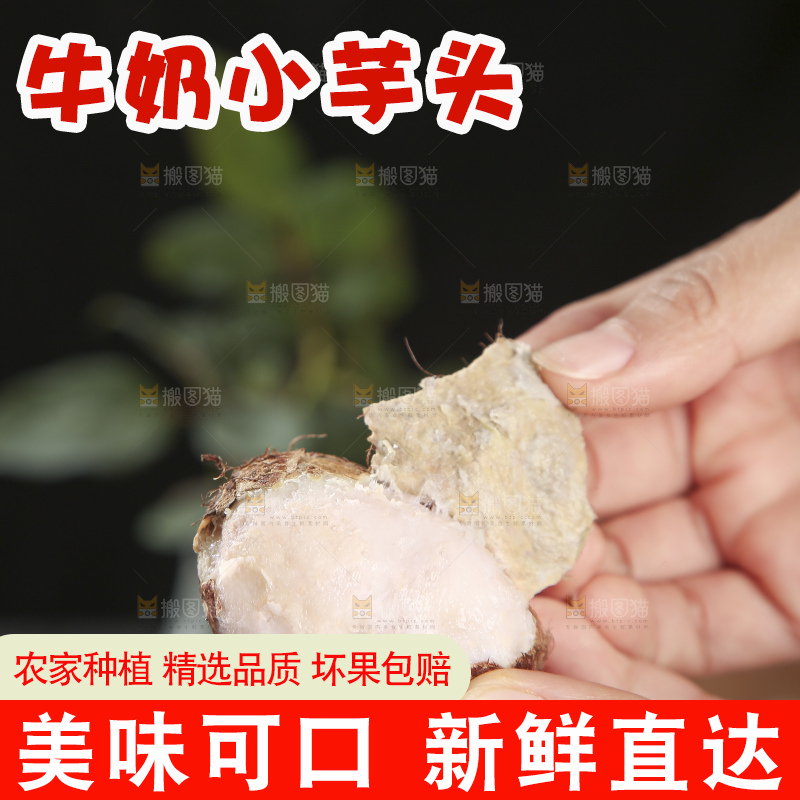 深底上的新鲜小芋头