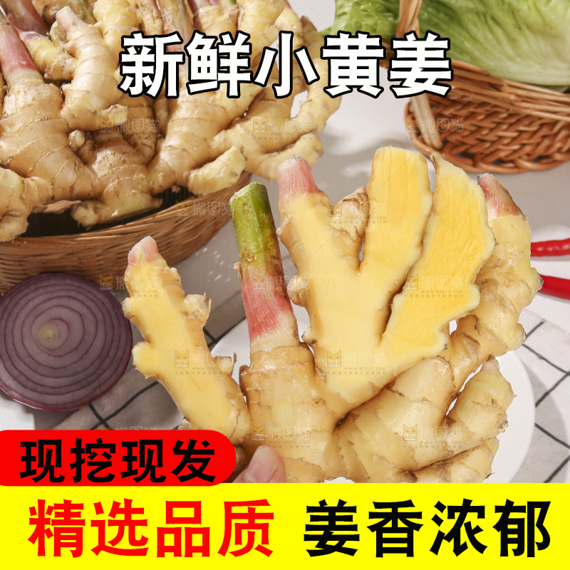 浅底上的小黄姜