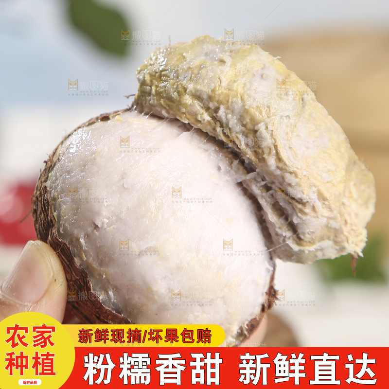 浅底上的新鲜小芋头