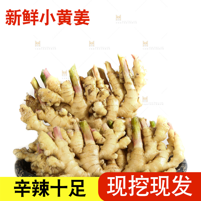白底上的小黄姜