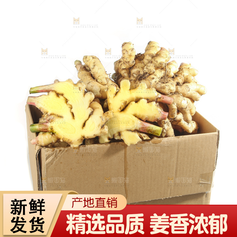 白底上的小黄姜