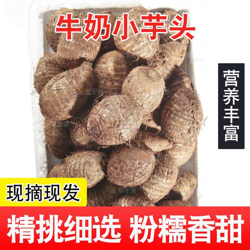 白底上的牛奶芋头