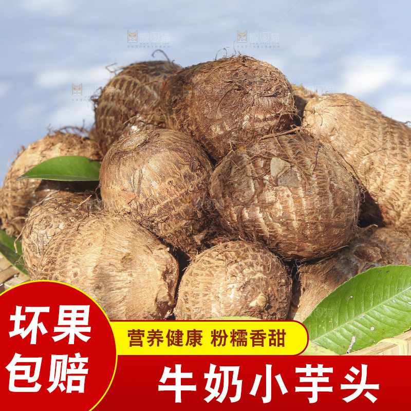 浅底上的新鲜小芋头