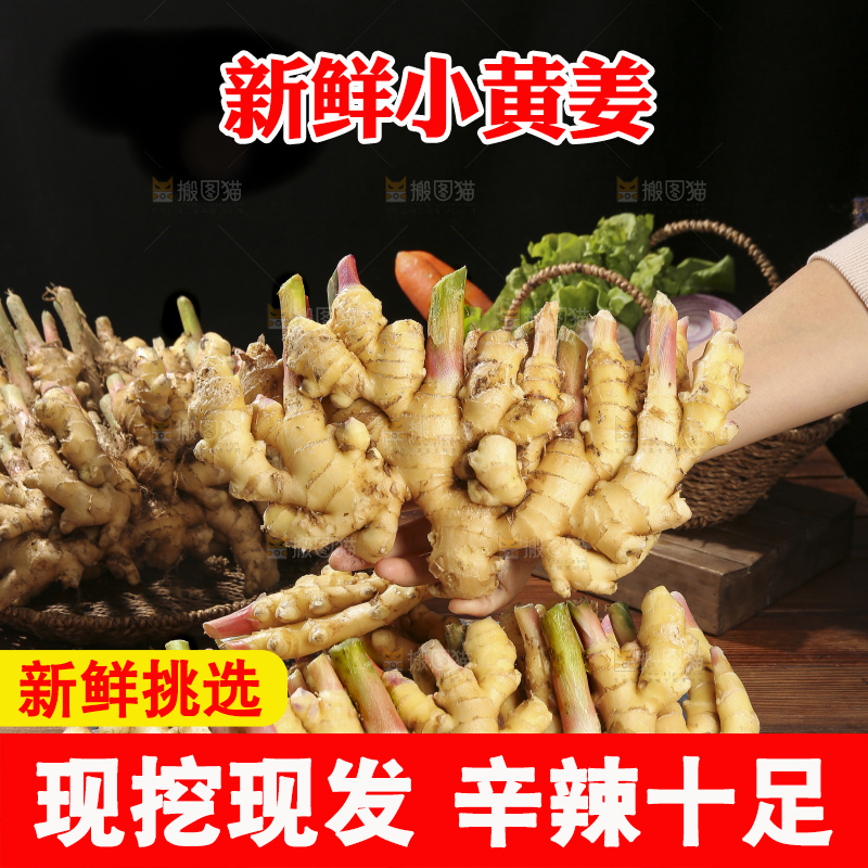 木底上的新鲜小黄姜