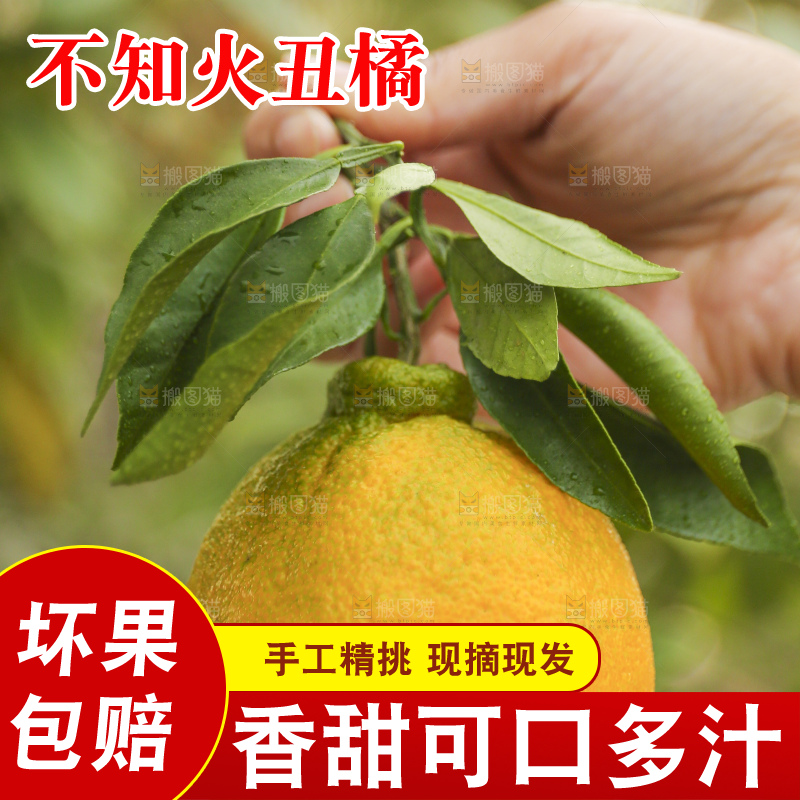 手里拿着丑八怪