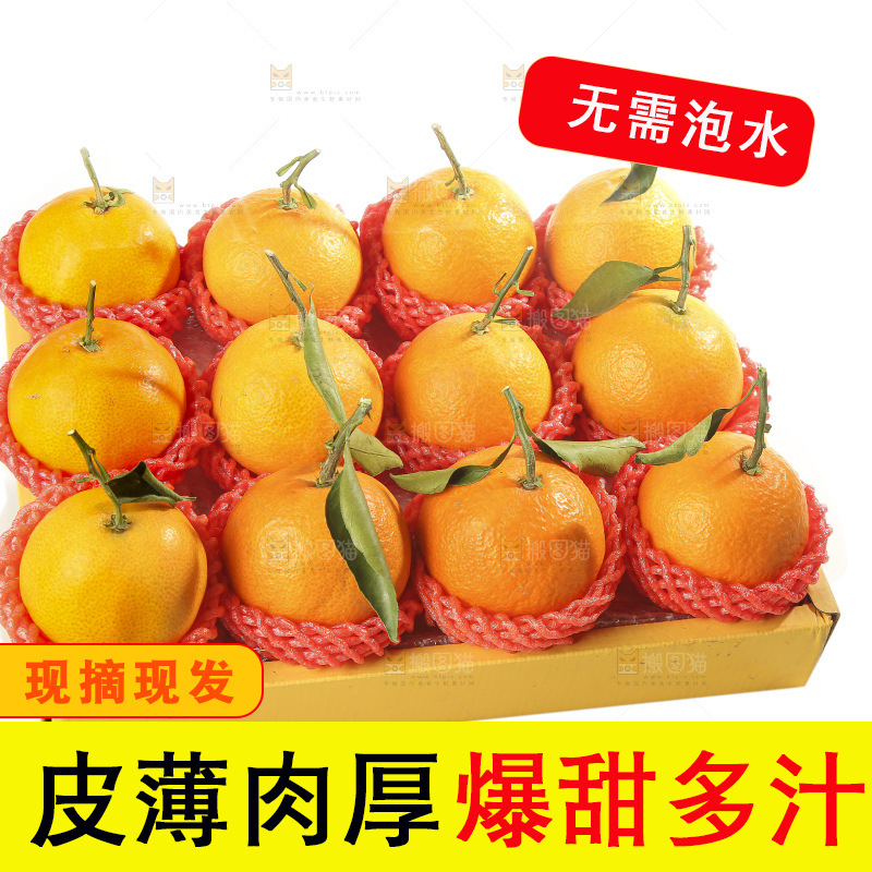 白底上的爱媛果冻橙