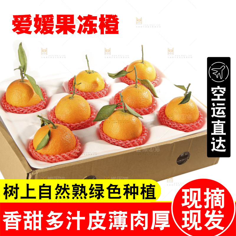 白底上的爱媛果冻橙