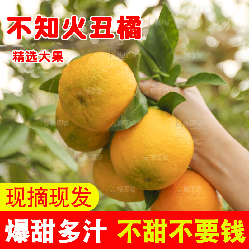 手里拿着丑八怪