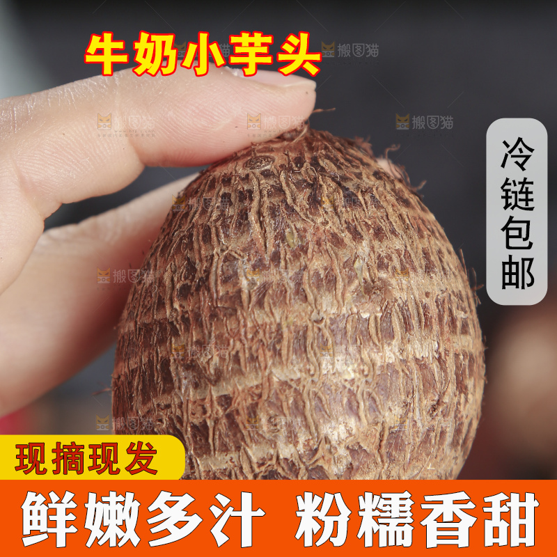 深底上的新鲜小芋头