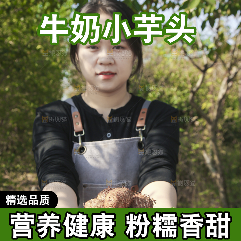 手里拿着新鲜小芋头
