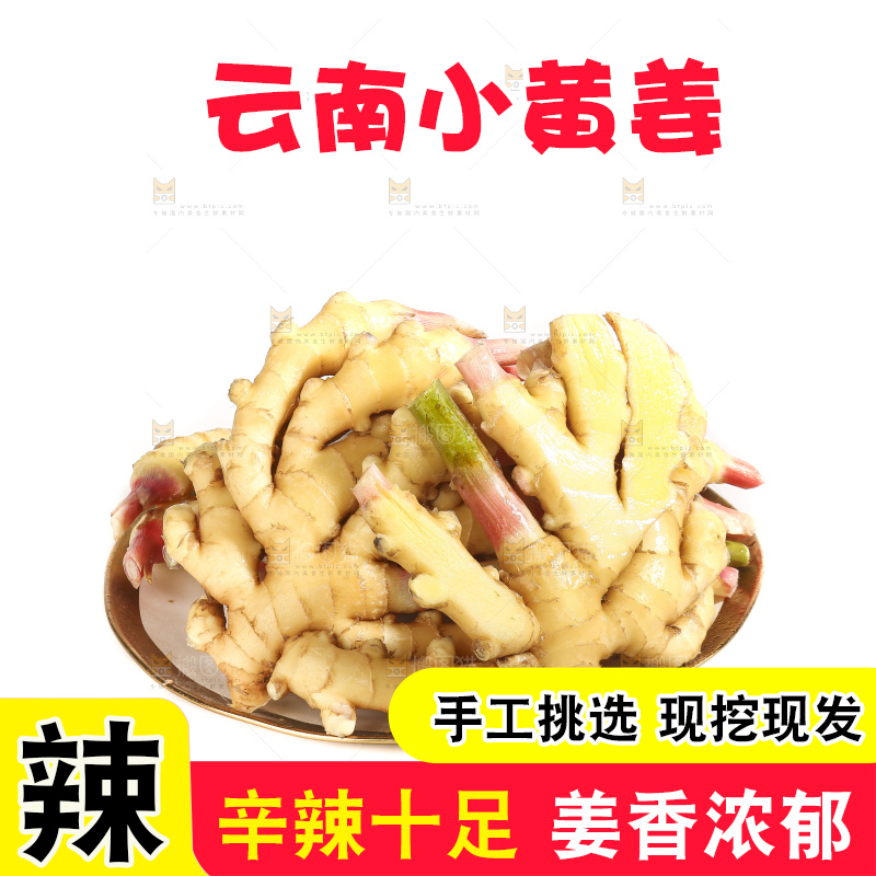 白底上的小黄姜