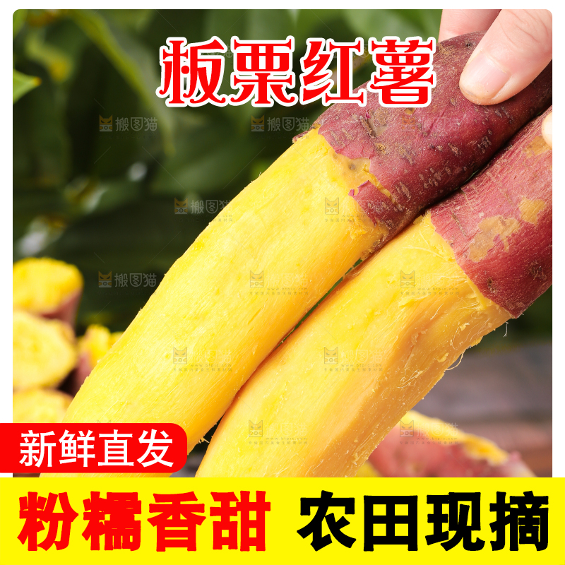 深底上的板栗红薯