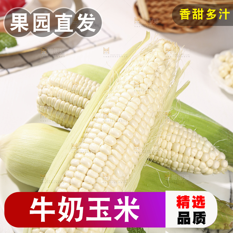 浅底上的牛奶玉米