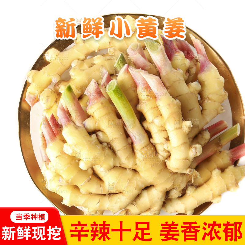 白底上的小黄姜