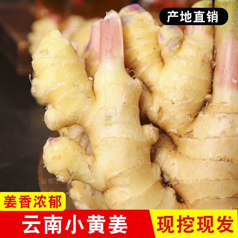 深底上的小黄姜