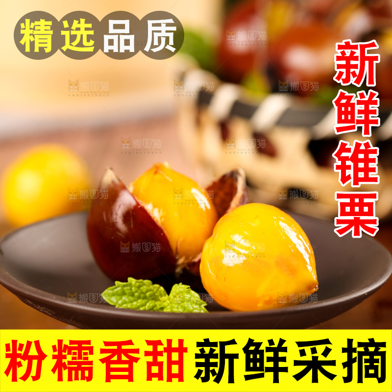 深底上的油锥栗