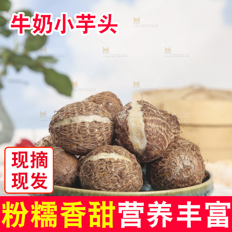 浅底上的新鲜小芋头