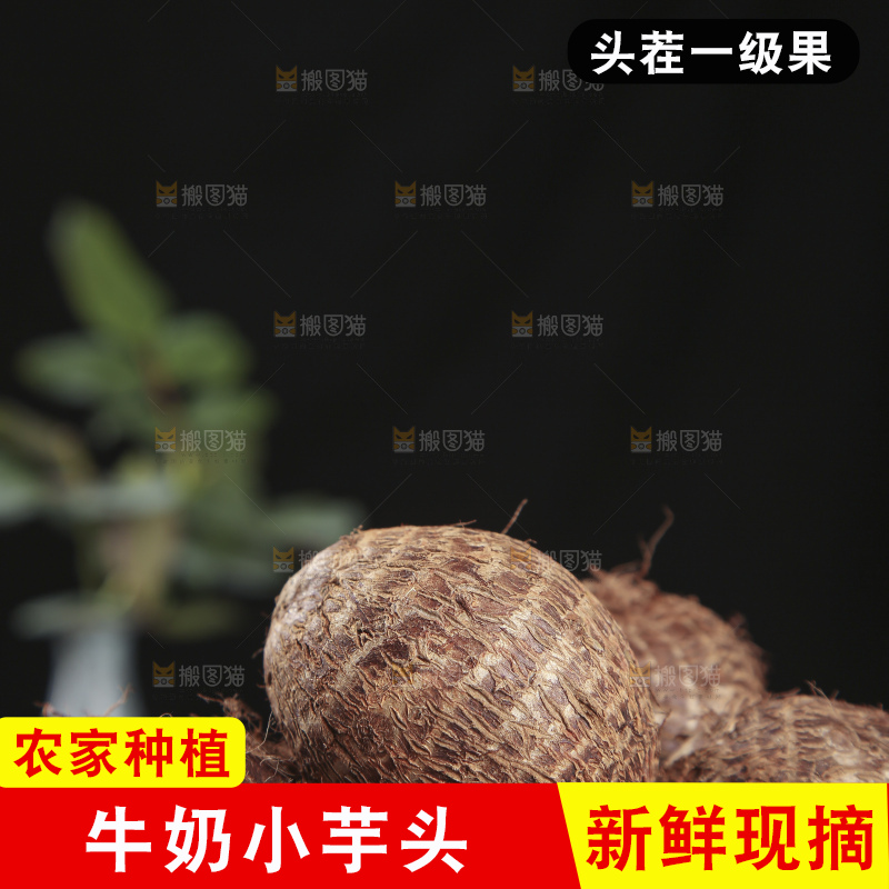 深底上的新鲜小芋头