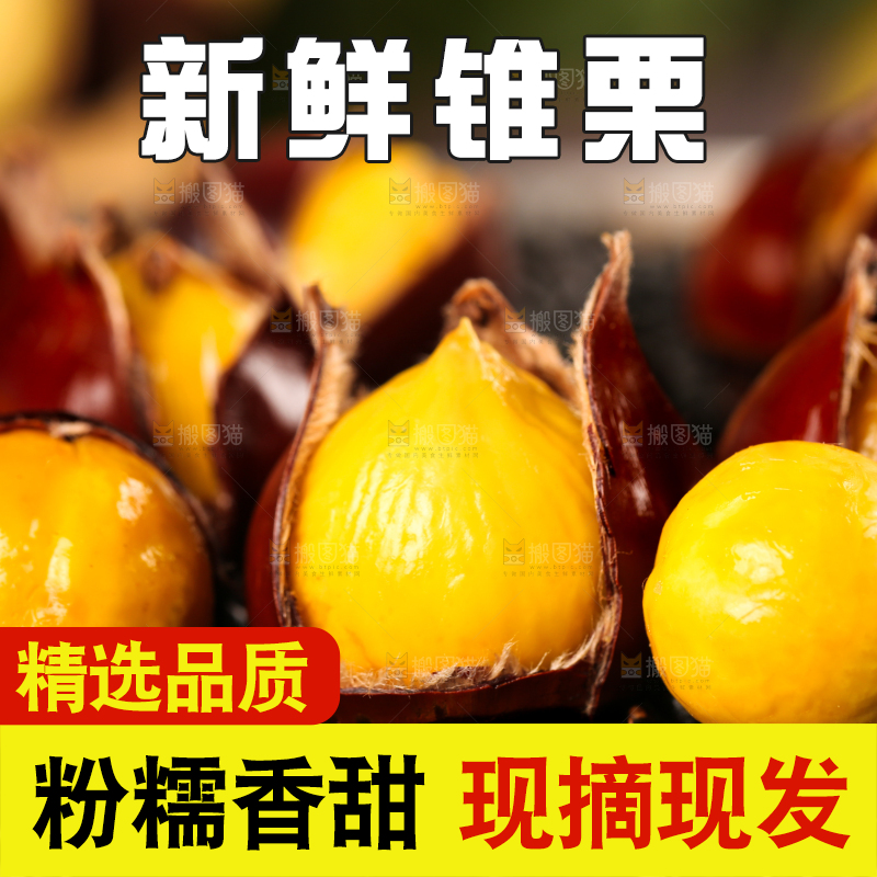 深底上的油锥栗