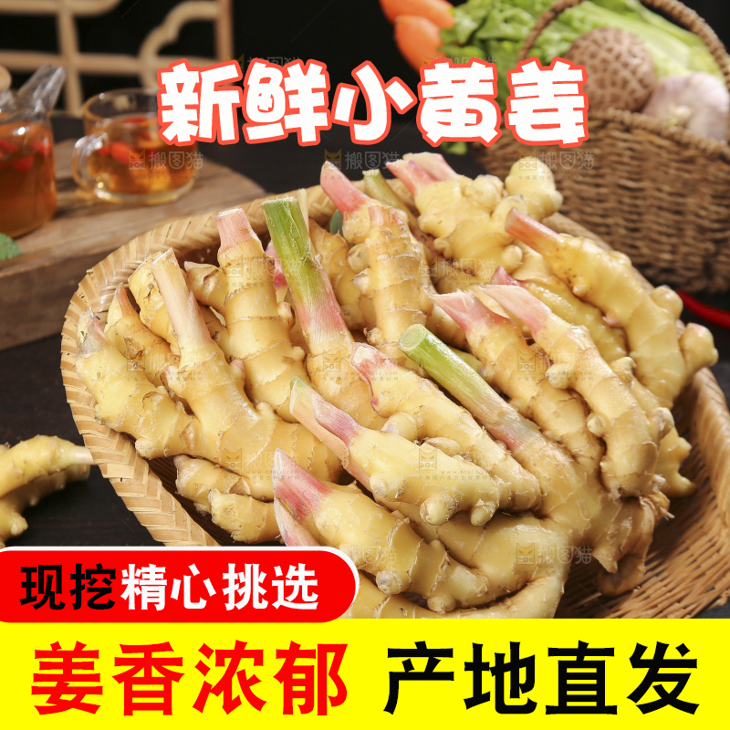 深底上的小黄姜