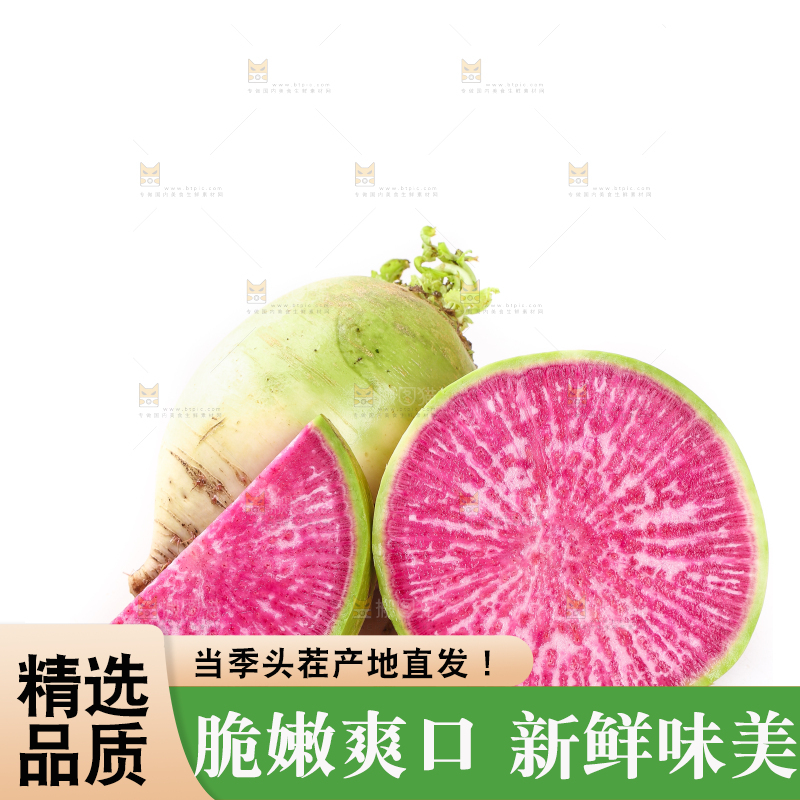 白底上的心里美萝卜
