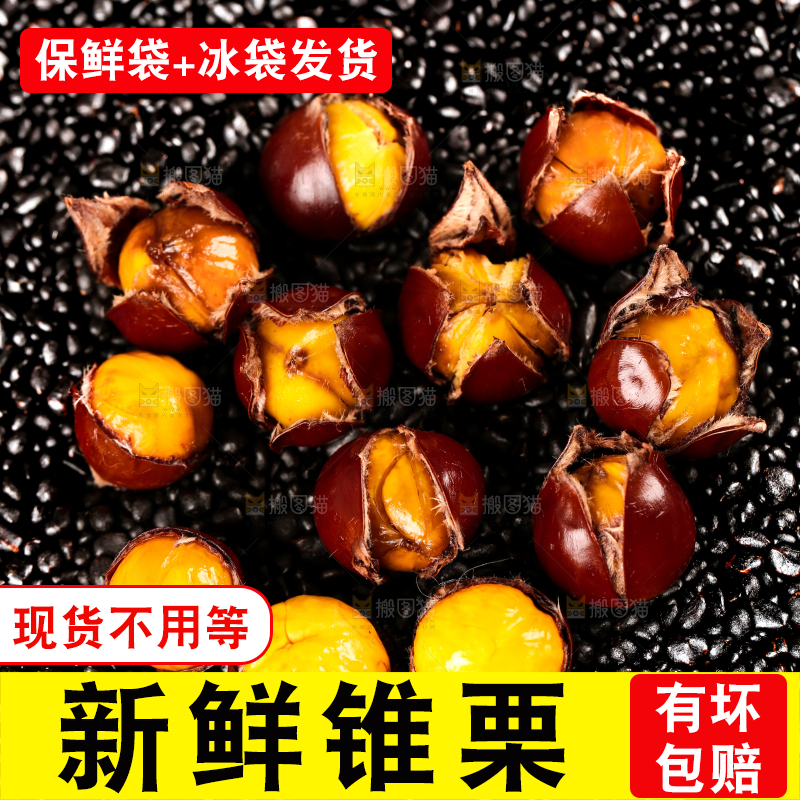 深底上的油锥栗
