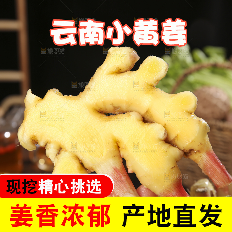 深底上的小黄姜