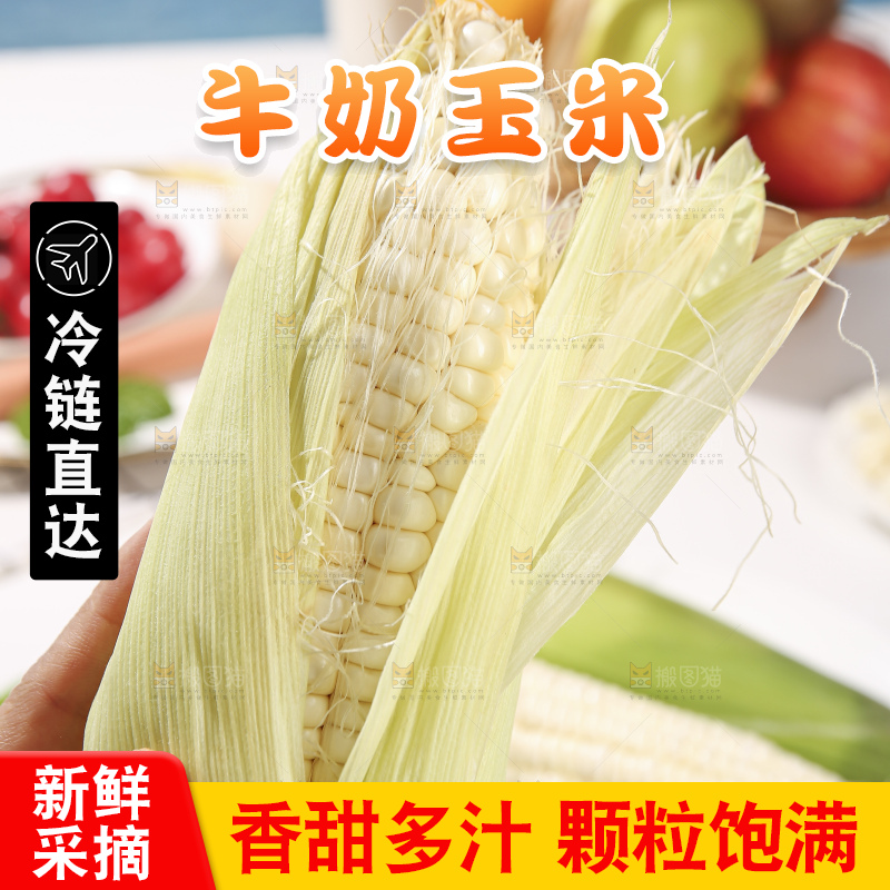 浅底上的牛奶玉米
