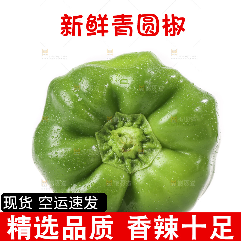 白底上的青圆椒