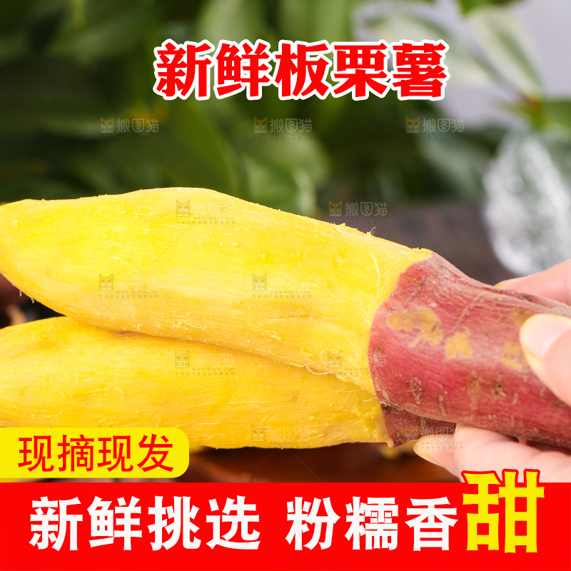 深底上的板栗红薯