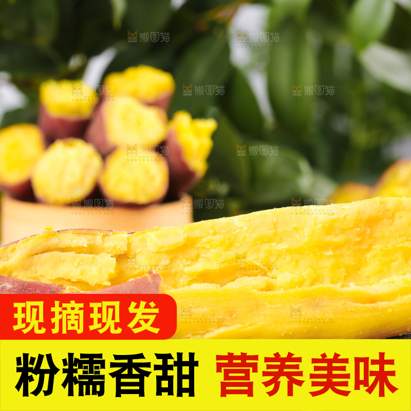 深底上的板栗红薯