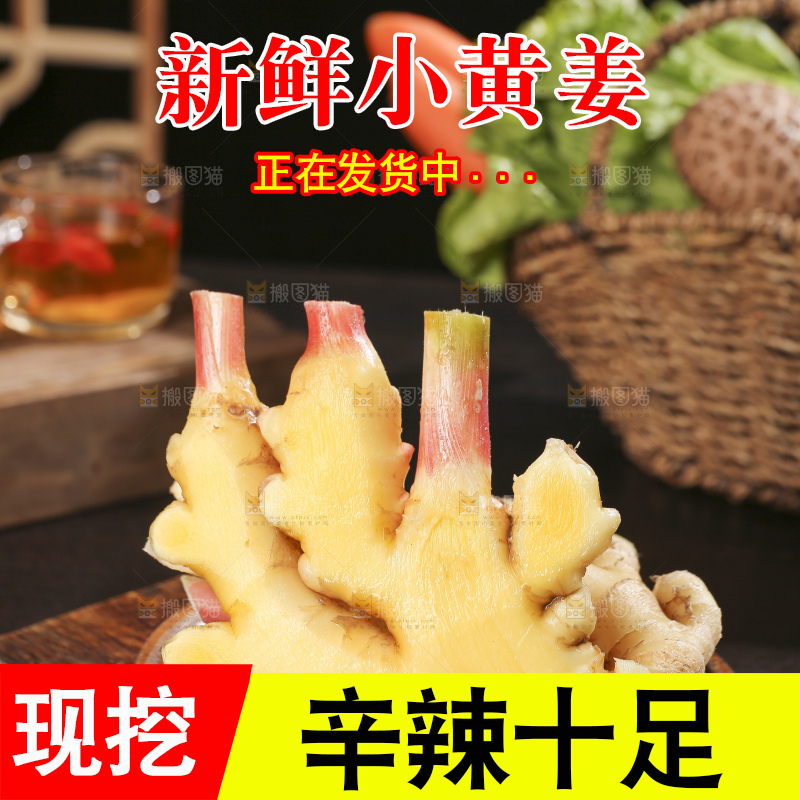 深底上的小黄姜