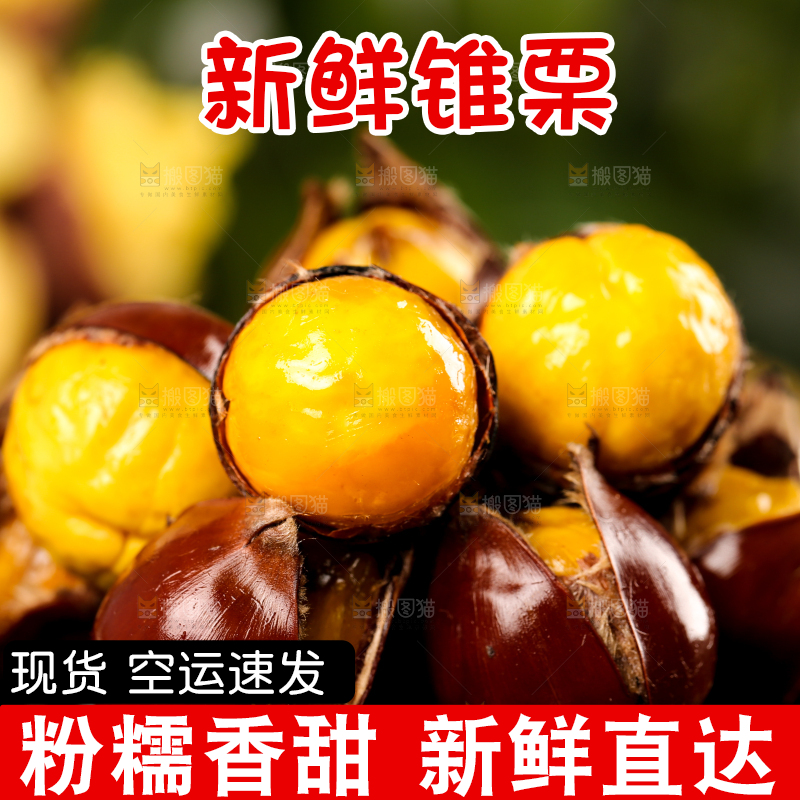 深底上的油锥栗