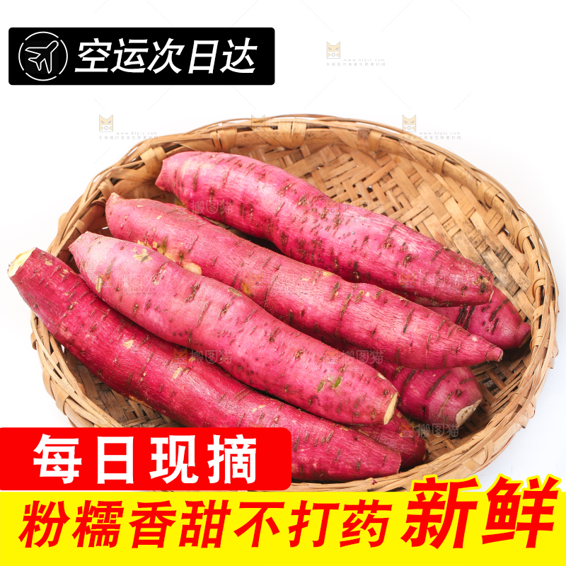 白底上的板栗红薯
