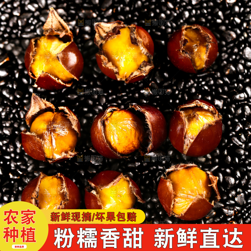 深底上的油锥栗