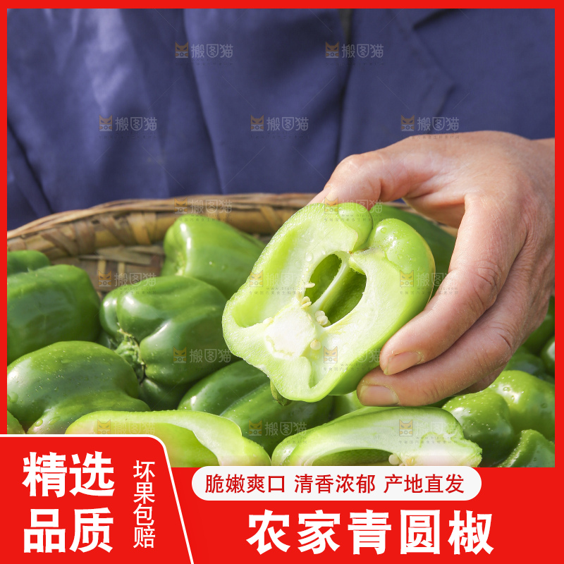 手里拿着新鲜青圆椒