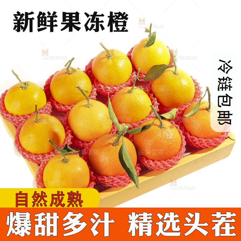 白底上的爱媛果冻橙