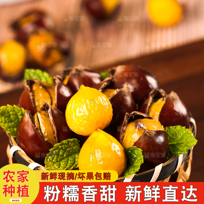 深底上的油锥栗