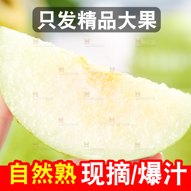 浅底上的砀山酥梨