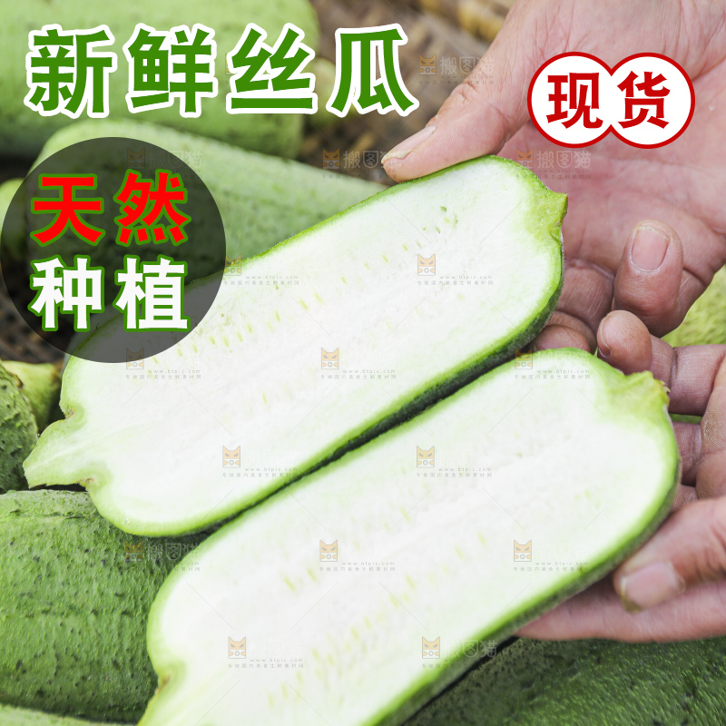 手里拿着新鲜丝瓜