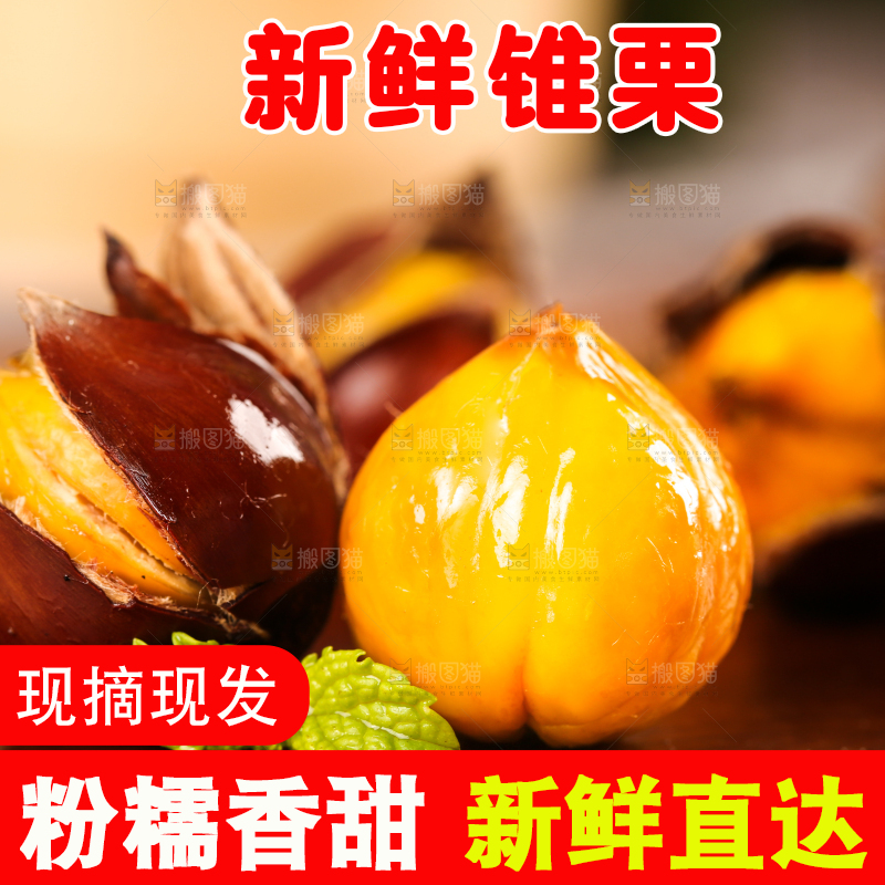 深底上的油锥栗