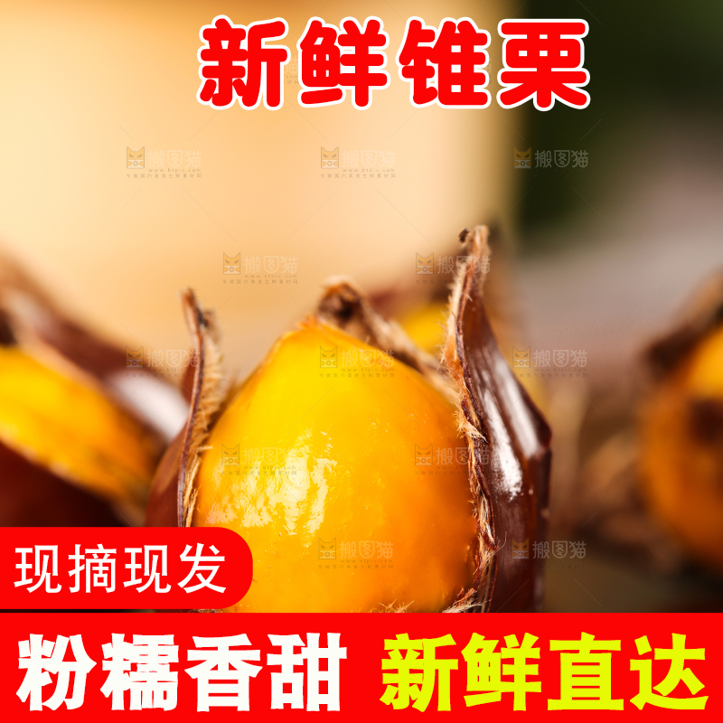 深底上的油锥栗