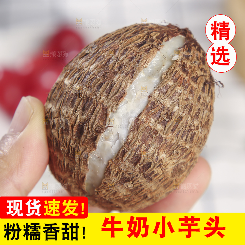 浅底上的新鲜小芋头