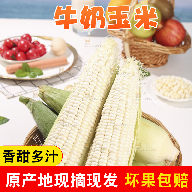 浅底上的牛奶玉米