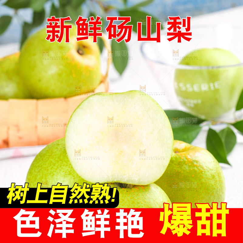 浅底上的砀山酥梨