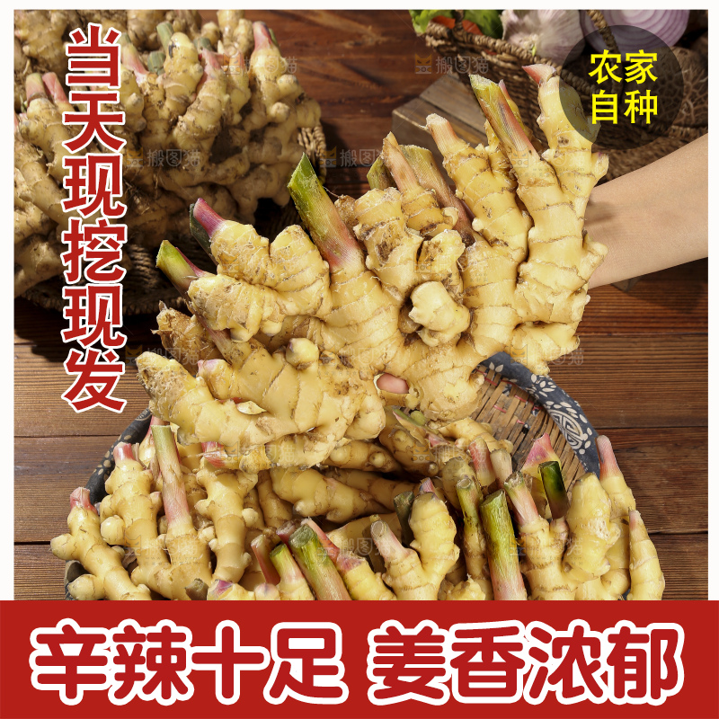木底上的新鲜小黄姜